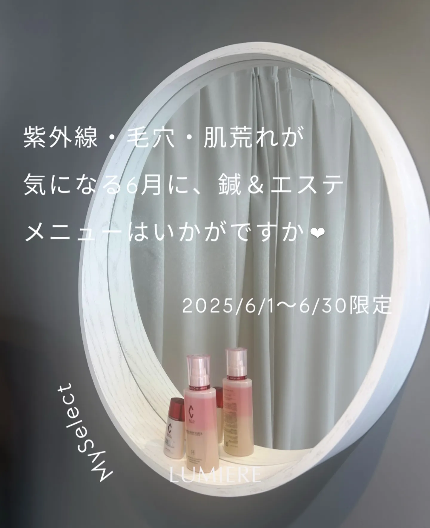 【6月限定】マイセレクトのご案内🌿