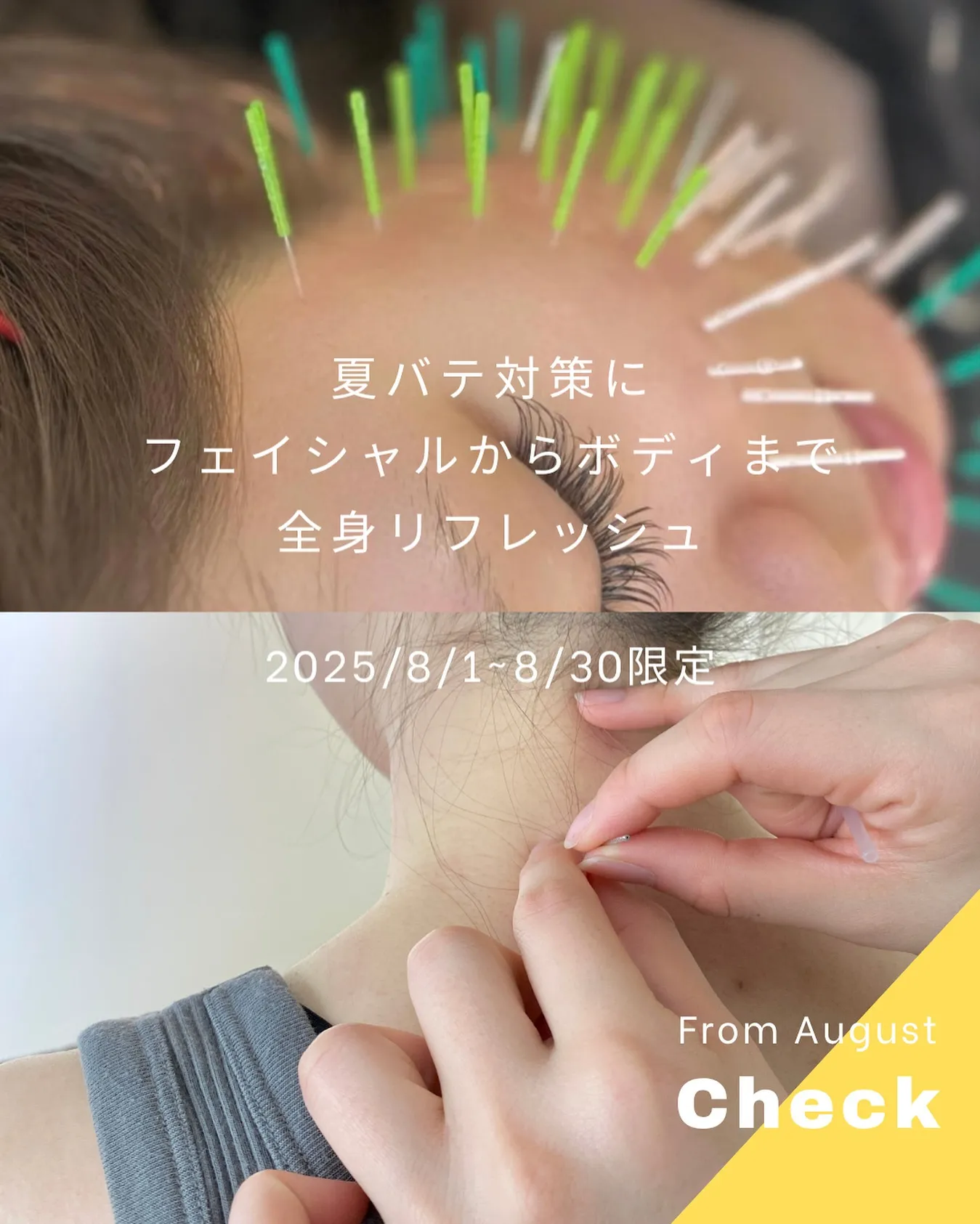 8月1日（日）からの1ヶ月限定