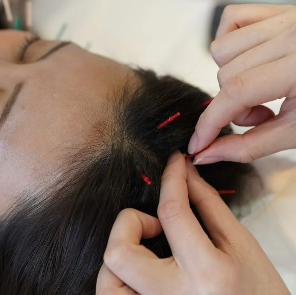 11月限定の【自律神経管理】